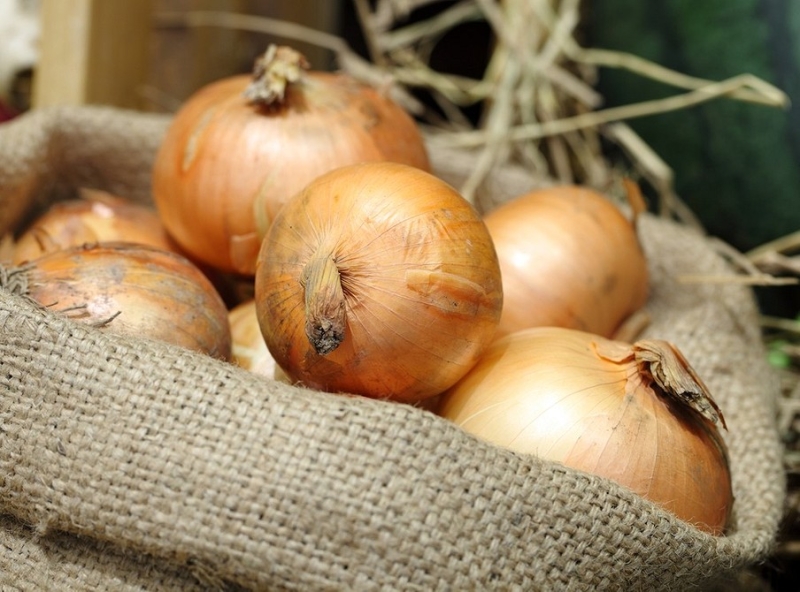Хранение лука зимой в квартире и доме: 14 способов, с которыми ни одна луковица не пропадет (и 47 наглядных фото)