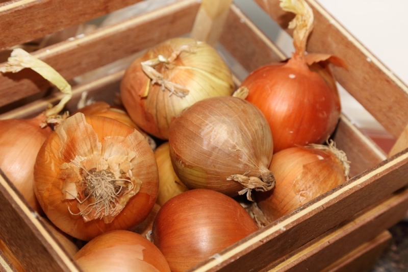 Хранение лука зимой в квартире и доме: 14 способов, с которыми ни одна луковица не пропадет (и 47 наглядных фото)