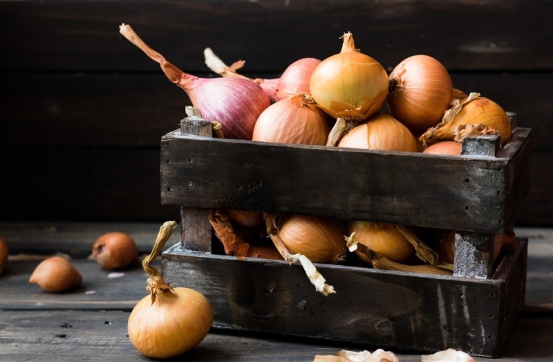 Хранение лука зимой в квартире и доме: 14 способов, с которыми ни одна луковица не пропадет (и 47 наглядных фото)