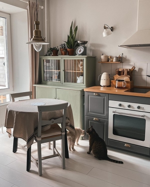 
                                Как быстро и недорого обновить кухню без ремонта: 9 лучших способов                            