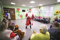 Россиянка завела 20 собак и попала под суд