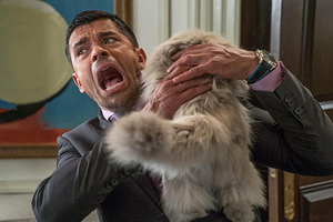 Семью с 40 кошками в Челябинске выгнали из квартиры