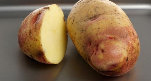 50 сортов картофеля для пюре, жарки, запекания и картошки фри