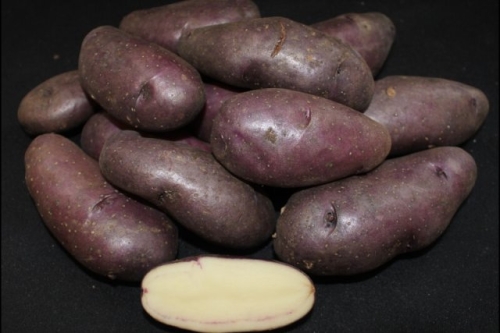 50 сортов картофеля для пюре, жарки, запекания и картошки фри