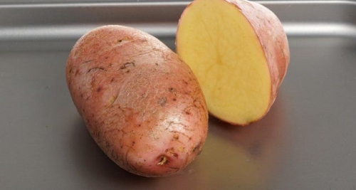 50 сортов картофеля для пюре, жарки, запекания и картошки фри