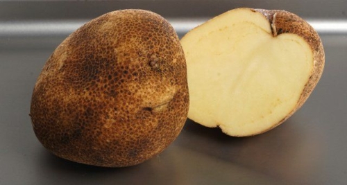 50 сортов картофеля для пюре, жарки, запекания и картошки фри