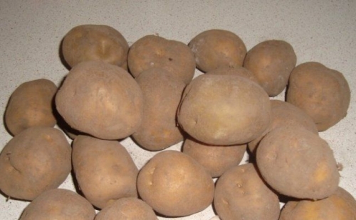 50 сортов картофеля для пюре, жарки, запекания и картошки фри