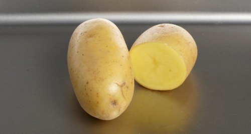 50 сортов картофеля для пюре, жарки, запекания и картошки фри