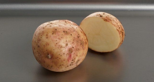 50 сортов картофеля для пюре, жарки, запекания и картошки фри