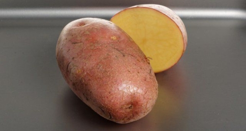 50 сортов картофеля для пюре, жарки, запекания и картошки фри