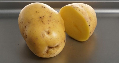 50 сортов картофеля для пюре, жарки, запекания и картошки фри