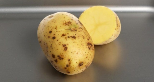 50 сортов картофеля для пюре, жарки, запекания и картошки фри