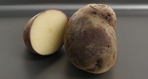 50 сортов картофеля для пюре, жарки, запекания и картошки фри