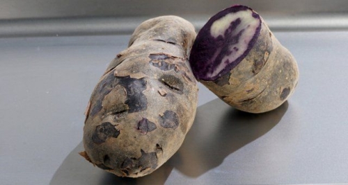 50 сортов картофеля для пюре, жарки, запекания и картошки фри