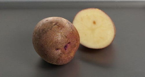 50 сортов картофеля для пюре, жарки, запекания и картошки фри