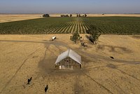 Названы условия для снижения цен на новостройки в России