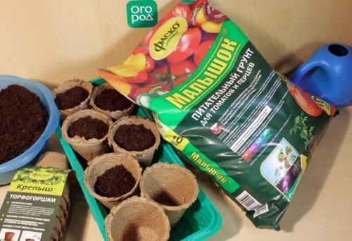 Как получить крепкую рассаду перца – пошаговый мастер-класс с фото