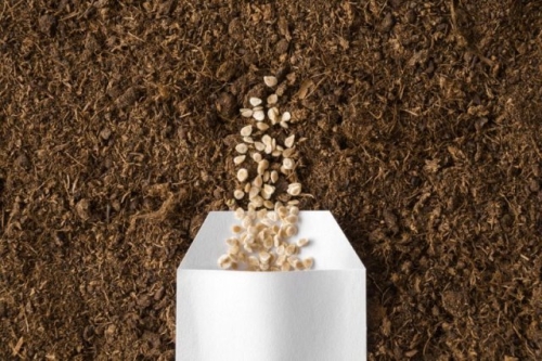 Когда сеять томаты на рассаду в 2024 году: точные даты с учетом Лунного календаря