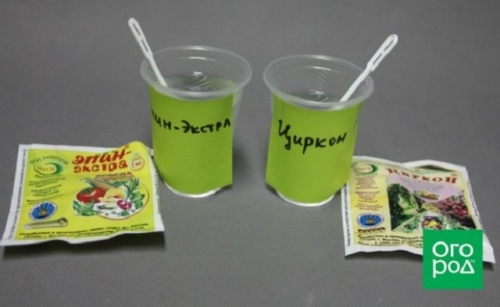 В чем замачивать семена перед посевом: 10 проверенных вариантов