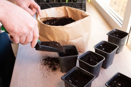 Пора сеять перец! У вас все готово?