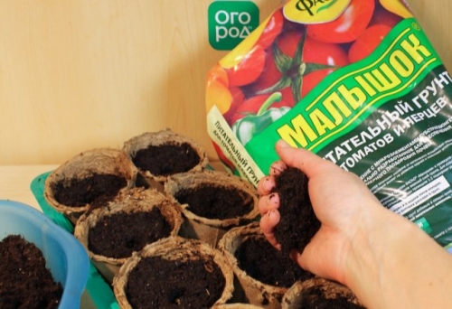 Как получить крепкую рассаду перца – пошаговый мастер-класс с фото