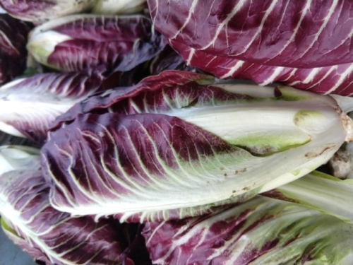 Цикорные салаты для силы и здоровья