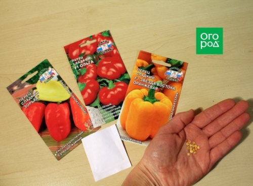 Как получить крепкую рассаду перца – пошаговый мастер-класс с фото