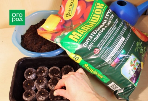 Как получить крепкую рассаду перца – пошаговый мастер-класс с фото