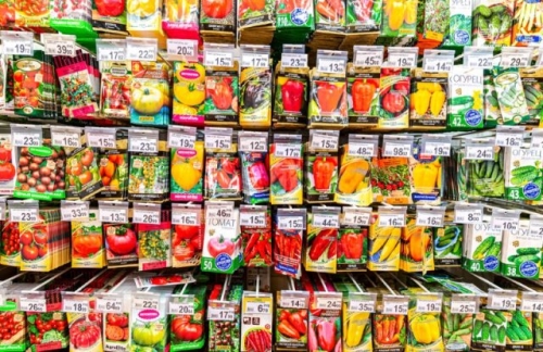 Пора сеять перец! У вас все готово?