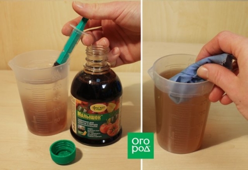 Как получить крепкую рассаду перца – пошаговый мастер-класс с фото