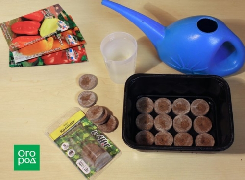 Как получить крепкую рассаду перца – пошаговый мастер-класс с фото