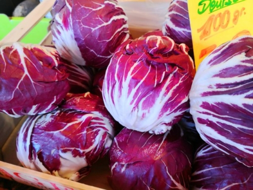 Цикорные салаты для силы и здоровья