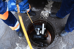 Россиянам объяснили возможные проверки из-за популярных растений на даче