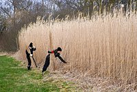 Названа стоимость старых вещей на даче