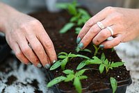 Названа стоимость старых вещей на даче