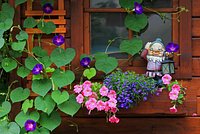 Россиян предупредили о штрафах до миллиона рублей за самовольное строительство