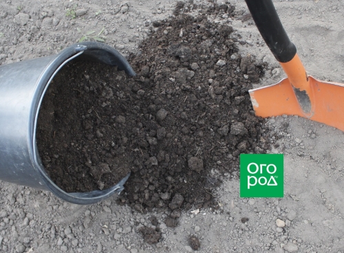 Грядка для помидоров: готовим правильно